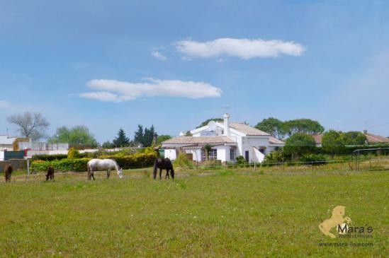 Reitimmobilie, Finca, Haus, Chiclana..