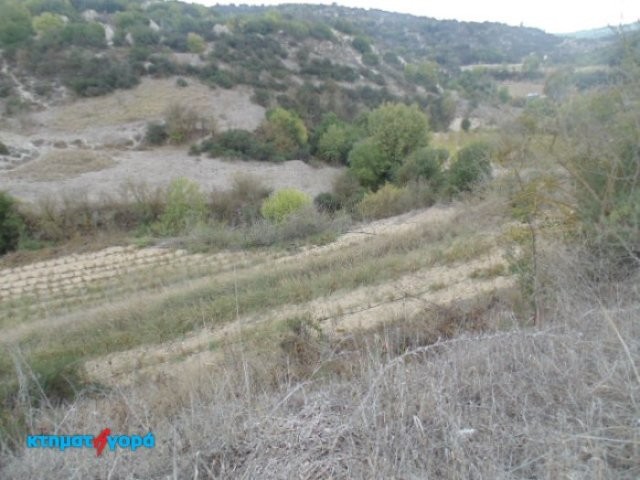 Agricultural Land in Psathi, Pafos - 2