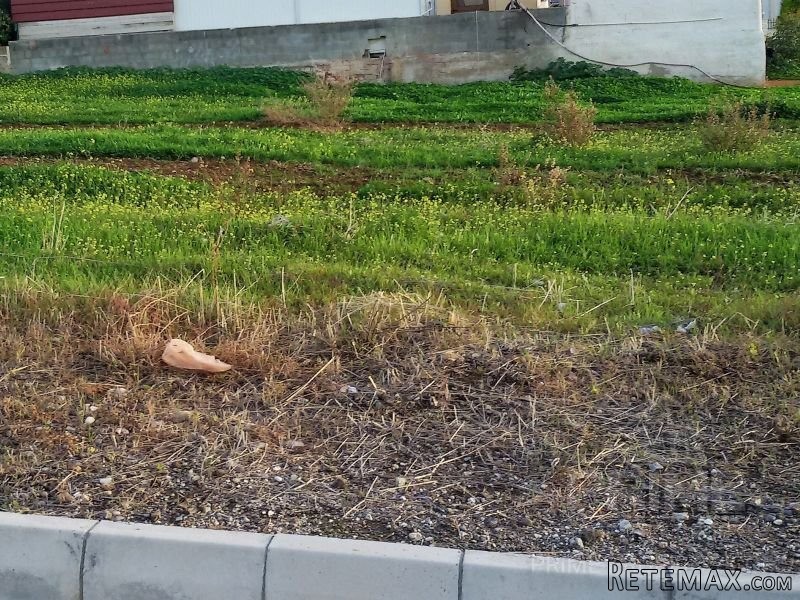 Land in Paphos, Cyprus, for Sale -..