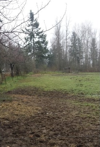 Land - For details contact Rob Darling.. - 2