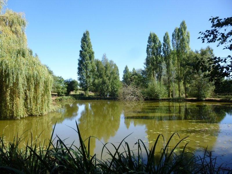 Country House, Outbuildings, Lake