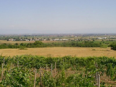 Land in South Bulgaria