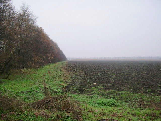 Land in Kotlentsi, Dobrich - 2