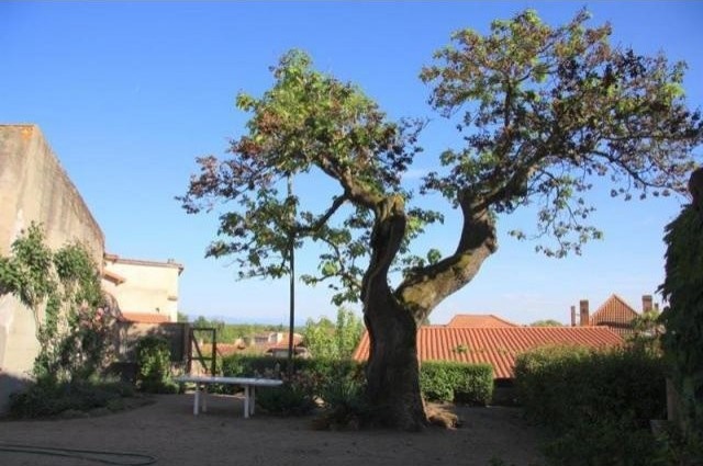 6 bedroom House For Sale: 63000.. - 2