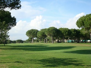 For Sale: Plot In Central Algarve..