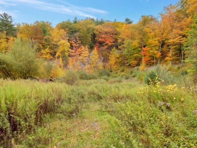 87 Acre Private Oasis