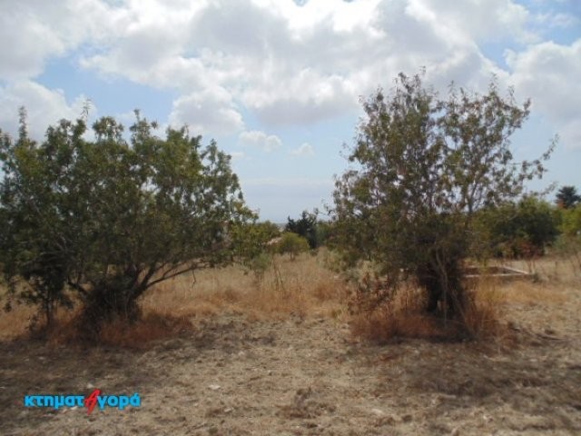 Agricultural Land in Mesa Chorio, Pafos - 2