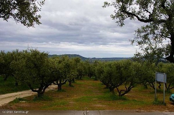 Land - Zakynthos - For Sale - 2