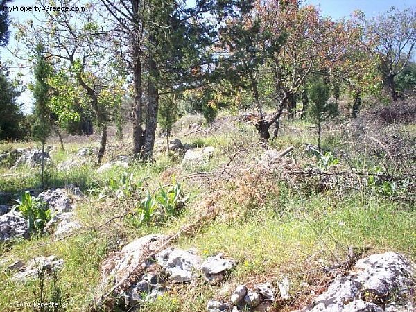 Land - Zakynthos - For Sale - 2