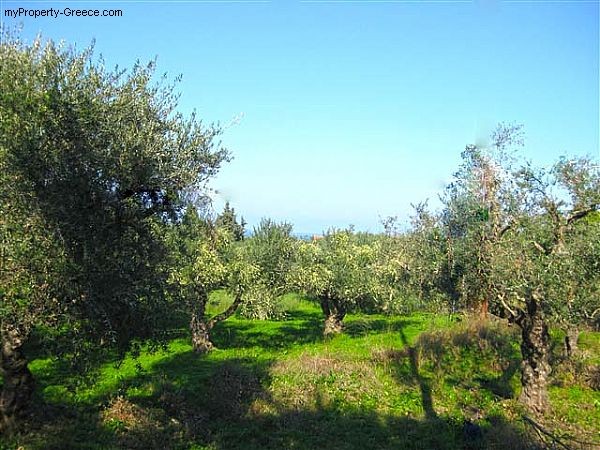 Plot only 250meters away from beach