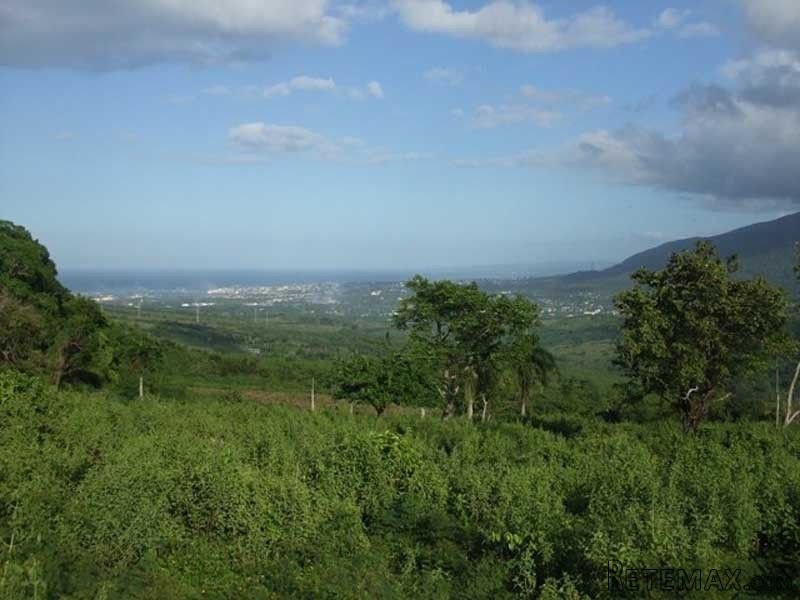 Dairy And Crop Farm For Sale In Puerto..