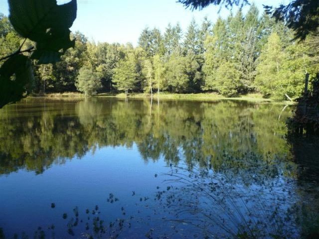 Near La Coquille, Dordogne, Aquitaine - 2