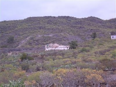 Tenerife Finca - 2