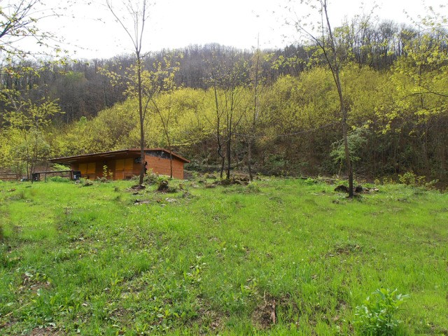 Land - For Sale - Bagni di Lucca area -.. - 2