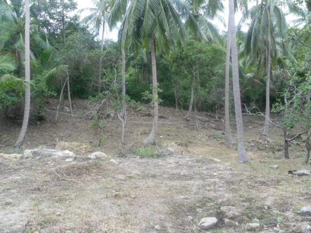 Koh Phangan 3 Rai plot of mountain land.. - 2