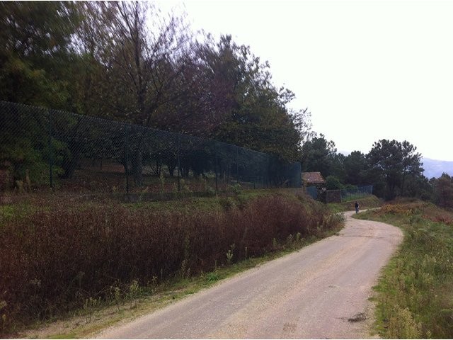 Small Farm - 2