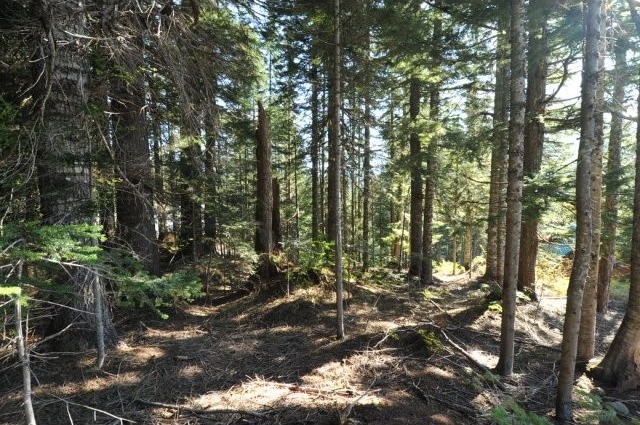 Land - For a showing contact Linda.. - 2