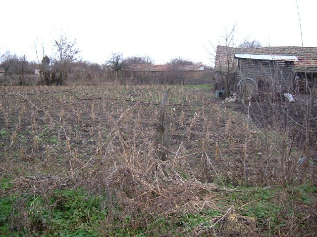 Land in Pryaspa, Dobrich