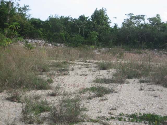 Land - Montego Bay - For Sale