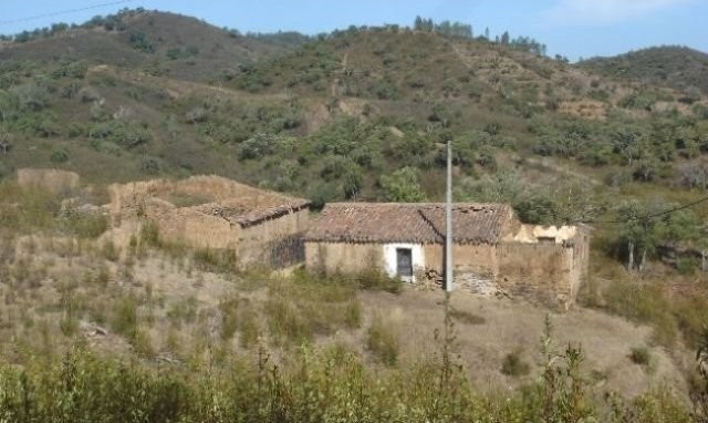 Large plot (19 hectars) comprising of..