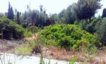- Land - Illes Balears - For Sale - 2