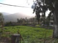 Plot In The Centre Of Georgioupolis