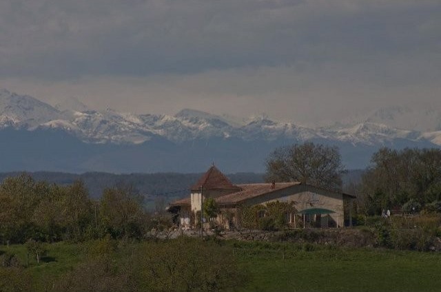 Grand Manoir (5 Ha) Avec Piscine Et.. - 2