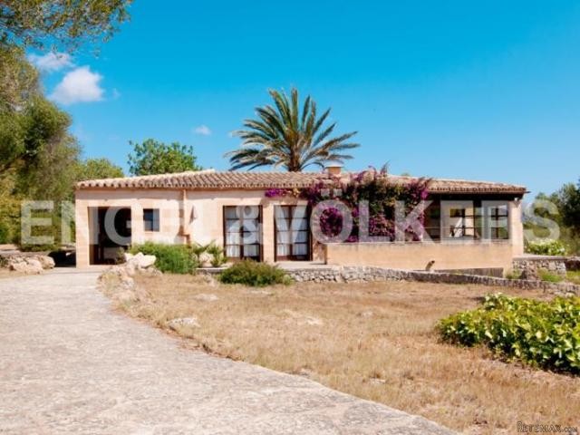 Finca in prime location with a guest.. - 2