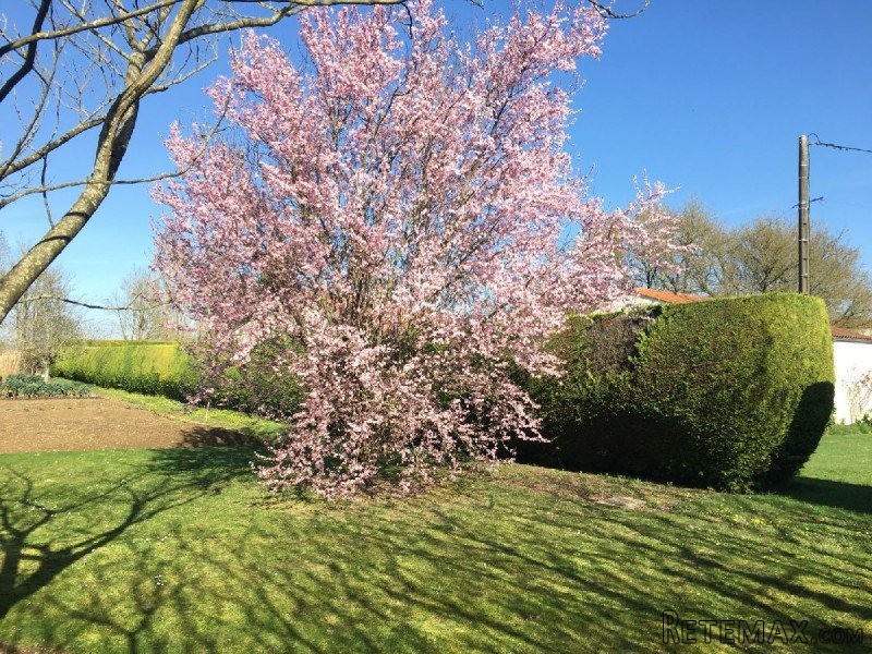 Stone House For Sale St Jean D Angely - 2