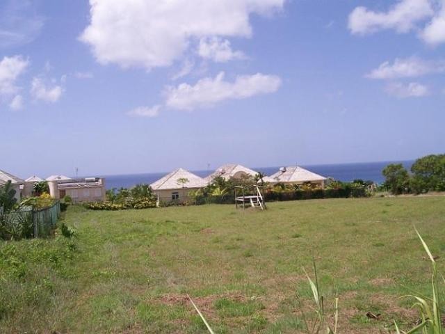 Property For Sale: Carlton View Lots.. - 2