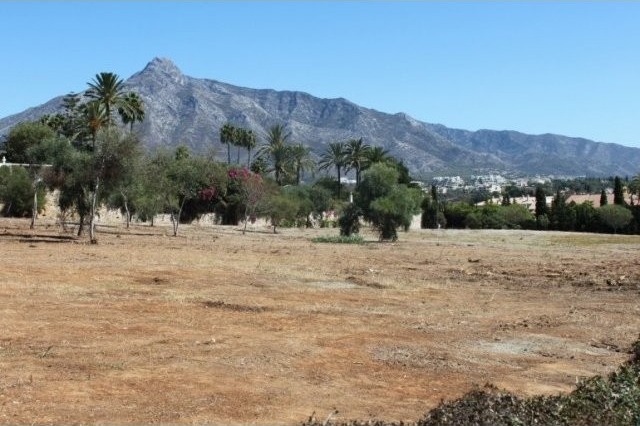 Fantastic Large Plot of Level Land..