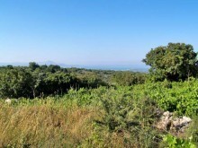 Buying Residential Land In Crete