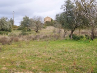 Agricultural land-Carvoeiro-Algarve-for..