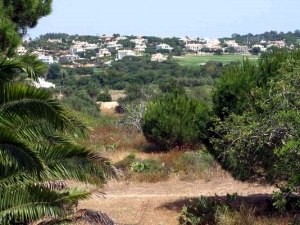 For Sale: Plot In Central Algarve.. - 2
