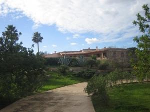 Impressing Finca about 800 mtres from.. - 2