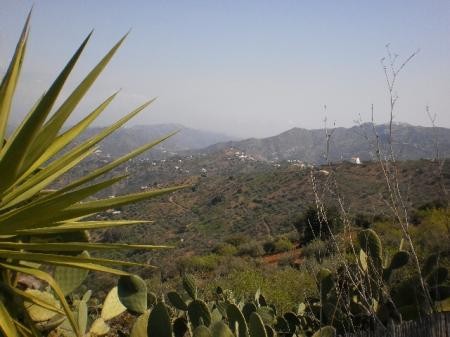 Cortijo, Colmenar - 2