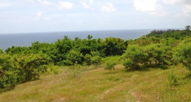 Property For Sale: Congor Bay, St... - 2