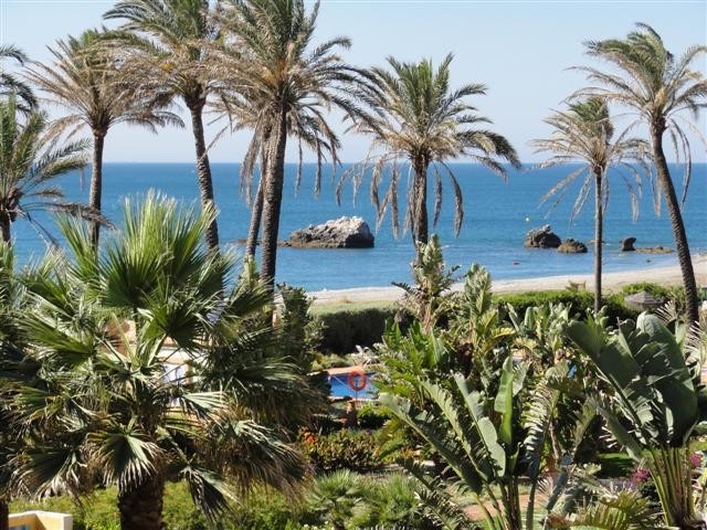 Stunning Frontline Beach Garden..
