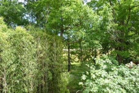 Stone House For Sale St Jean D Angely - 2