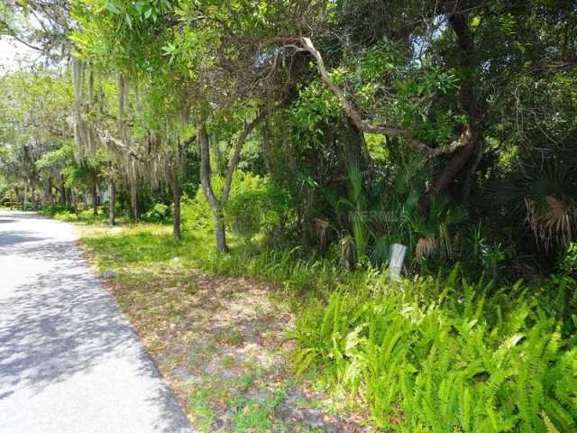 Land For Sale: 235 Osprey Point Dr..