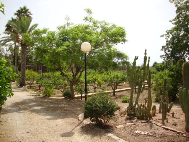 Large Country Villa - 2