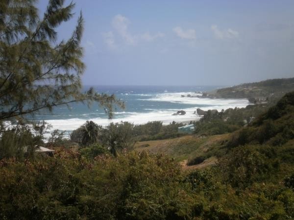 Property For Sale: Cattlewash, Atlantic..