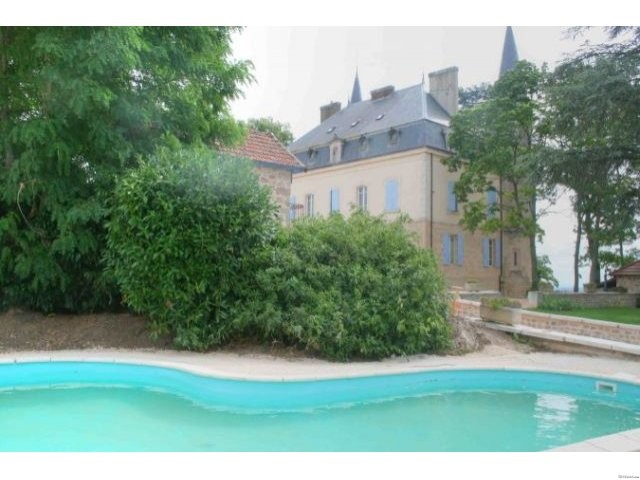 19th Century Chateau, Vineyard Views - 2
