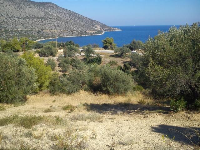 B296 - Land parcel of 5064 sqm in..