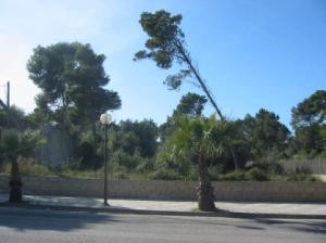 Urban plots of about 500 m2