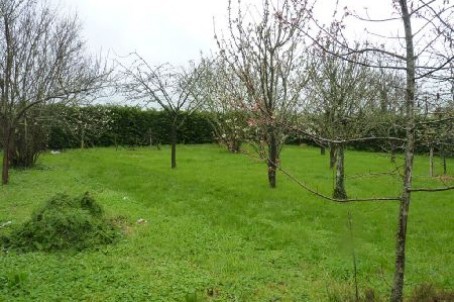 Stone House For Sale St Jean D Angely - 2