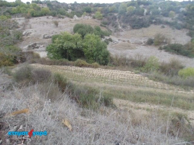 Agricultural Land in Psathi, Pafos