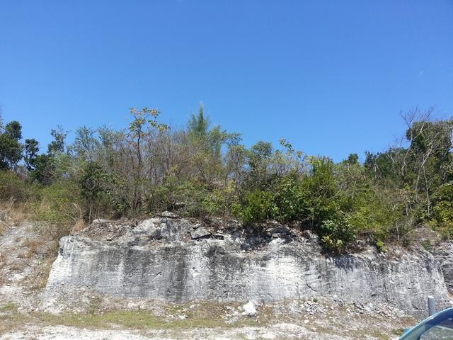 Singlefamilyvacant - 7200 q ft lot..