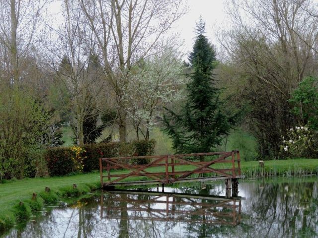 Country House on 2 Acres - 2