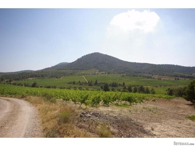6 bedroom Villa For Sale: Bodega, Bullas